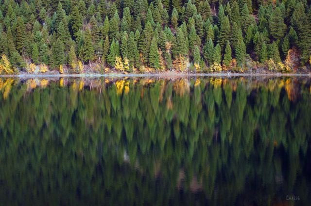 lazy-lake-reflection-evergreens-ch-rs-dsc_0182